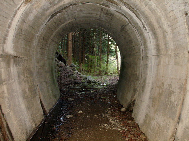 �ɓސ�X�ѓS��,�ѓS,�p����,�z��詓�,�p�g���l��,�ؑ]