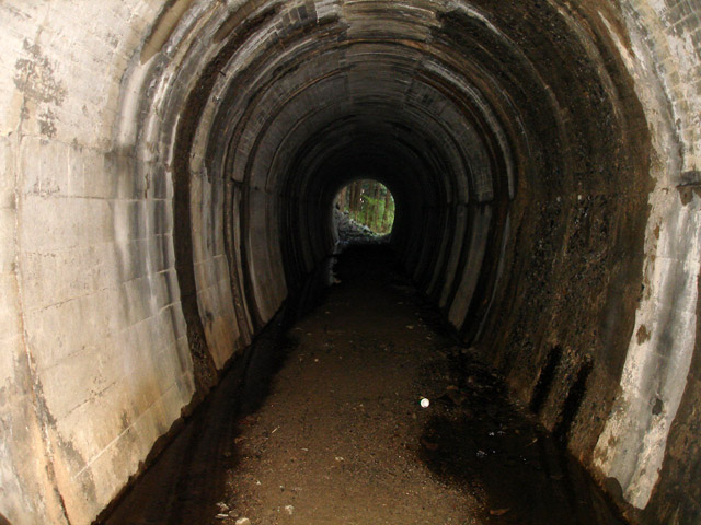 �ɓސ�X�ѓS��,�ѓS,�p����,�z��詓�,�p�g���l��,�ؑ]