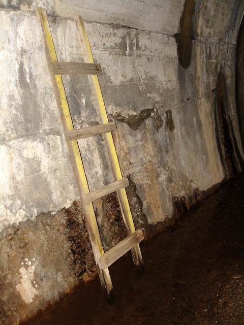 �ɓސ�X�ѓS��,�ѓS,�p����,�z��詓�,�p�g���l��,�ؑ]