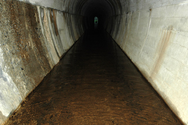 �ɓސ�X�ѓS��,�ѓS,�p����,�z��詓�,�p�g���l��,���v