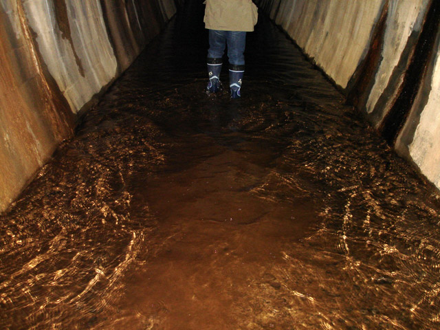 �ɓސ�X�ѓS��,�ѓS,�p����,�z��詓�,�p�g���l��,���v