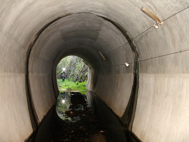 �ɓސ�X�ѓS��,�ѓS,�p����,�z��詓�,�p�g���l��,��K�c�я�