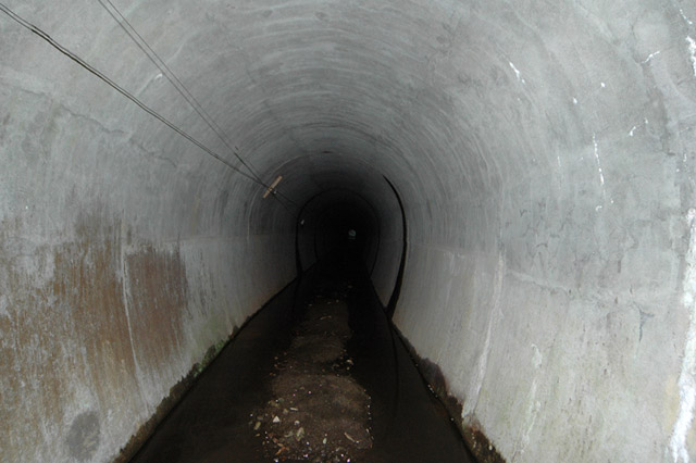 �ɓސ�X�ѓS��,�ѓS,�p����,�z��詓�,�p�g���l��,����