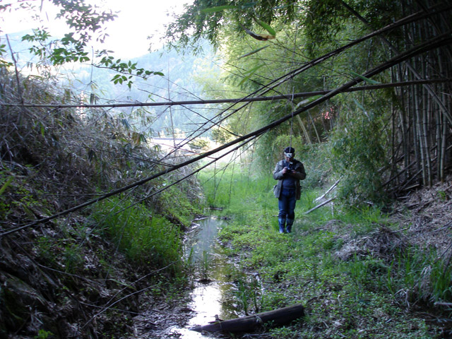 �ɓސ�X�ѓS��,�ѓS,�p����,����,�g���b�R�O��,�H��