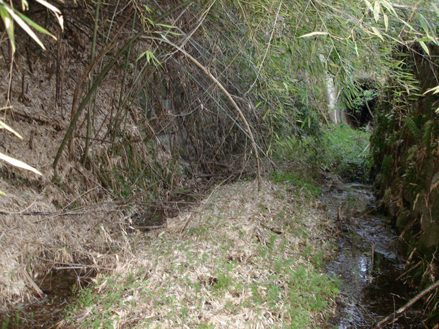 �ɓސ�X�ѓS��,�ѓS,�p����,�H��,�O����,��K�c�я�