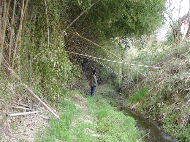 �ɓސ�X�ѓS��,�ѓS,�p����,��K��,�O����,��K�c�я�