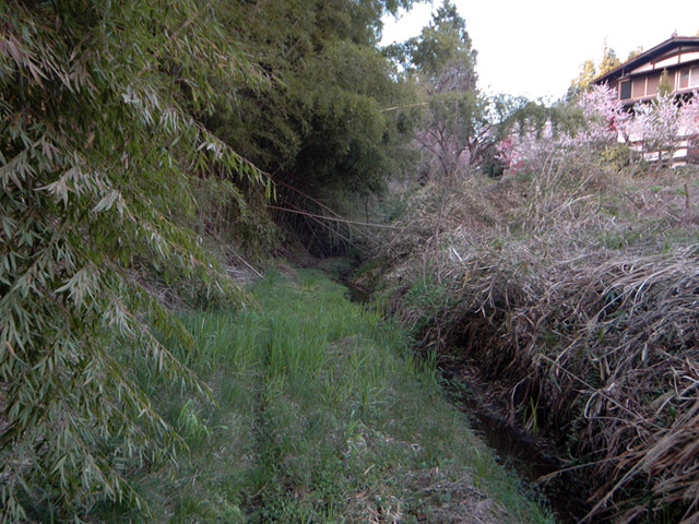 �ɓސ�X�ѓS��,�ѓS,�p����,��K��,�O����,��K�c�я�,����