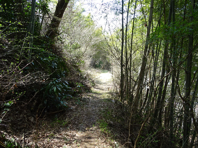 �ɓސ�y�֋O��,�g���b�R�O��,�p����,�ؑ]���Ɛ�p��,��K��,�{���h