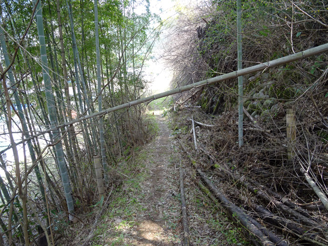 �ɓސ�y�֋O��,�g���b�R�O��,�p����,����������p��,��K��,�Ί_