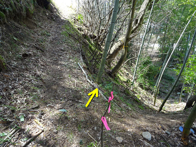 �ɓސ�y�֋O��,�g���b�R�O��,�p����,�ɓߐ�d�͐�p��,��ꓹ,��K��