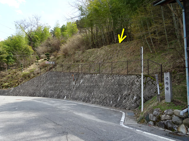 �ɓސ�y�֋O��,�g���b�R�O��,�p����,�ؑ]���Ɛ�p��,�{���h,���쌧��265���{����K��ԏ��