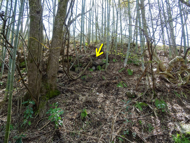 �ɓސ�y�֋O��,�g���b�R�O��,�p����,��K��,��ꓹ,�Ί_