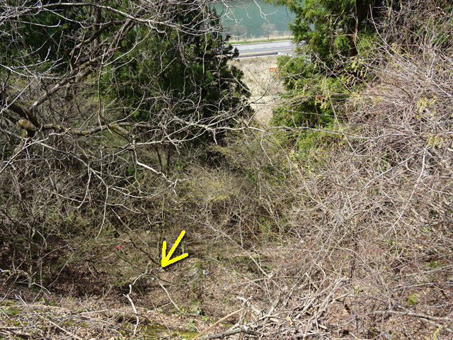 �ɓސ�y�֋O��,�g���b�R�O����,�p����,����,�H��,�ؑ]�H