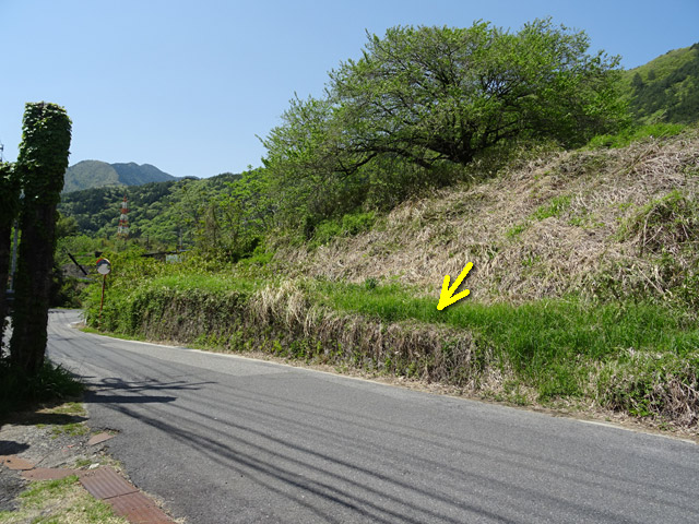 �ɓސ�y�֋O��,�g���b�R�O����,�p����,���ꔭ�d��,�Ί_,�i��