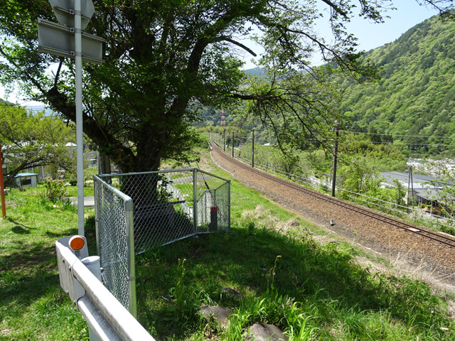 �ɓސ�y�֋O��,�g���b�R�O����,�p����,��������,�L���B�e�n,��������