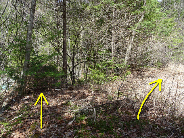 �k��X�ѓS��,�ѓS,�p����,�N�_,�؍މ^���O����,�����k�J