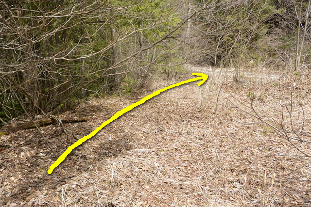 �k��X�ѓS��,�ѓS,�p����,����,�؍މ^���O����,2����