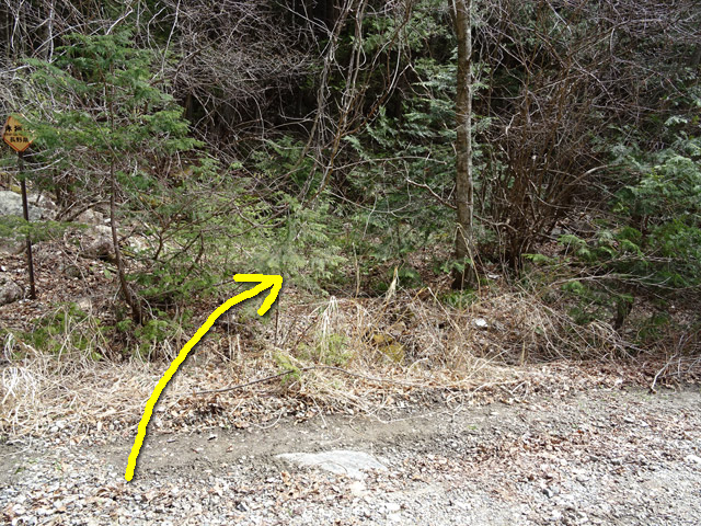 �k��X�ѓS��,�ѓS,�p����,2����,�؍މ^���O����,�����^�c�K�q�Q�ѓ�