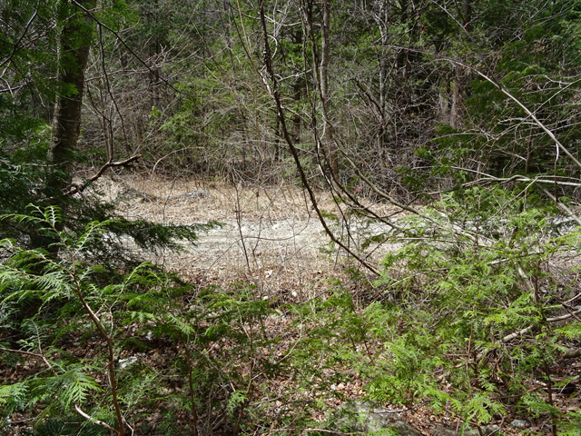 �ؑ]�X�ѓS���k���,�ѓS,�p����,�i���[�O����,�H��,��K�c�я�