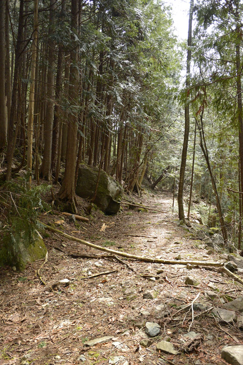 �k��ѓS,�X�ѓS��,�p����,�i���[�O����,�H��,2����