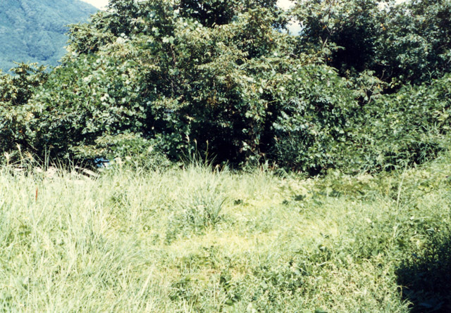 ��K�X�ѓS��,�ѓS,�p����,����,�ѓ�,��K�c�я�