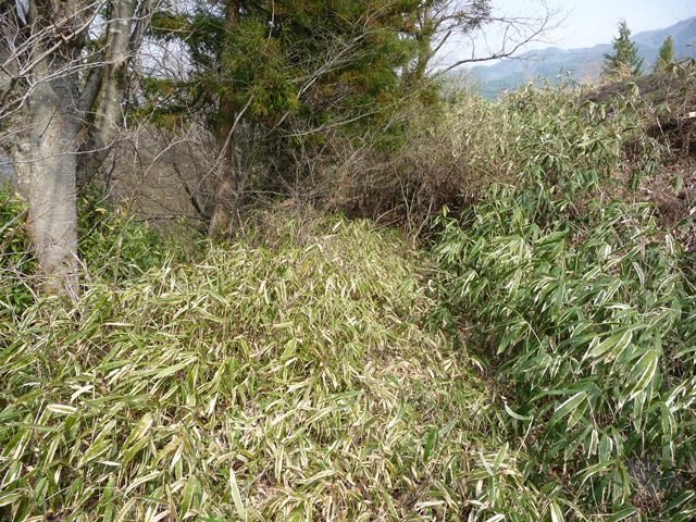 ��K�X�ѓS��,�ѓS,�p����,�H��,�ѓ�,��K�c�я�