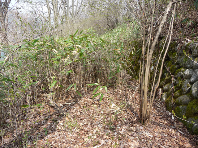 ��K�X�ѓS��,�ѓS,�p����,�H��,�ޖ؉^���O����,��K�c�я�