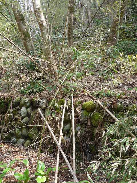 ��K�X�ѓS��,�ѓS,�p����,�g���b�R�O��,�Ί_,�i��,��K��