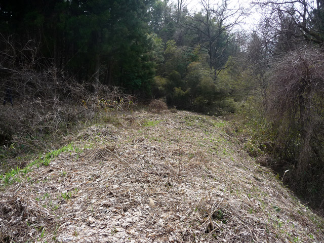 ��K�X�ѓS��,�ѓS,�p����,�O����,�|�̑򋴗�,�S��,��K�c�я�