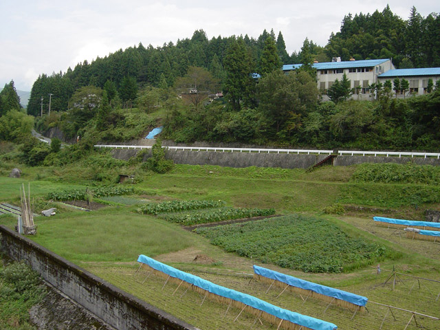 �ؑ]�X�ѓS����K��,�ѓS,�p����,��K����,�؍މ^���O��,��K�c�я�