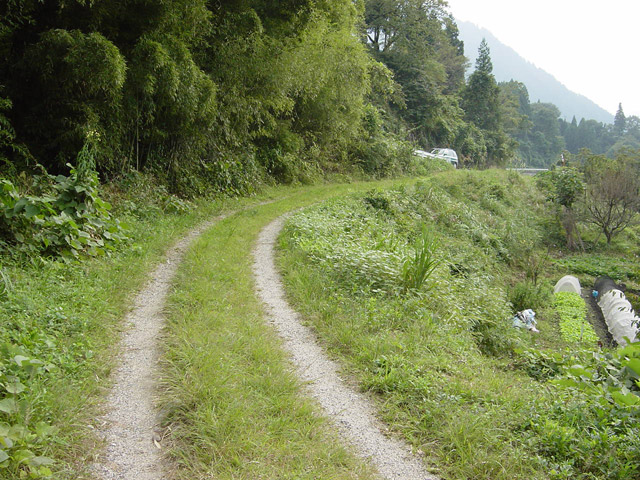 ��K�X�ѓS��,�ѓS,�p����,�؍މ^���O��,�������L��,��K�c�я�