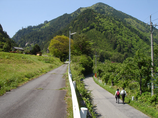 �ؑ]�X�ѓS����K��,�ѓS,�p����,�i���[�O����,�����X�ѓS��,�ѓ�