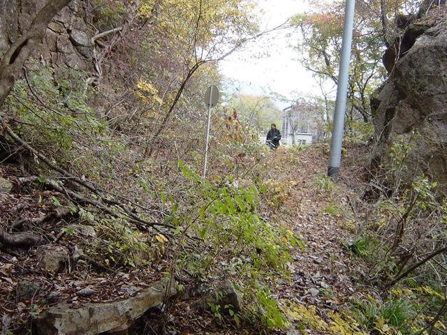 ��K�ѓS,�X�ѓS��,�p����,��K�c�я�,2�t�B�[�g6�C���`,�i���[�O����