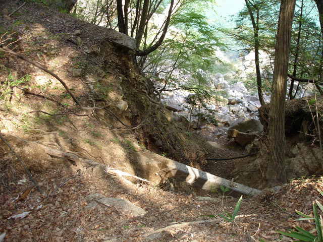 ��K�X�ѓS��,�ѓS,�p����,������,�i���[�O����,��������