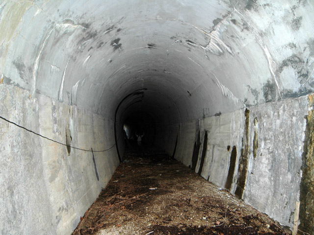 �ؑ]�X�ѓS����K��,�ѓS,�p����,詓�,�g���l��,�c�я��O��