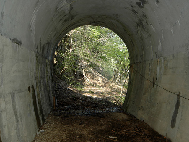 �ؑ]�X�ѓS����K��,�ѓS,�p����,詓�,�g���l��,�i���[�O����