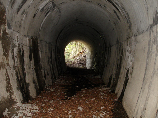 �ؑ]�X�ѓS����K��,�ѓS,�p����,詓�,�g���l��,�؍މ^���O����