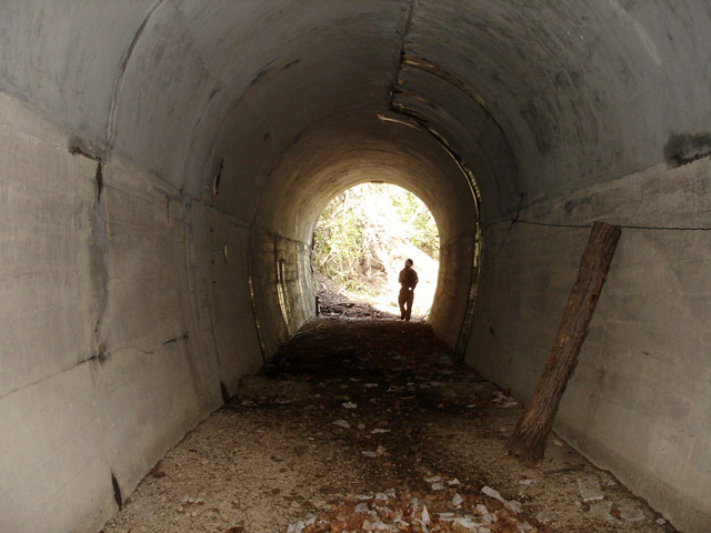 �ؑ]�X�ѓS����K��,�ѓS,�p����,詓�,�g���l��,�O����