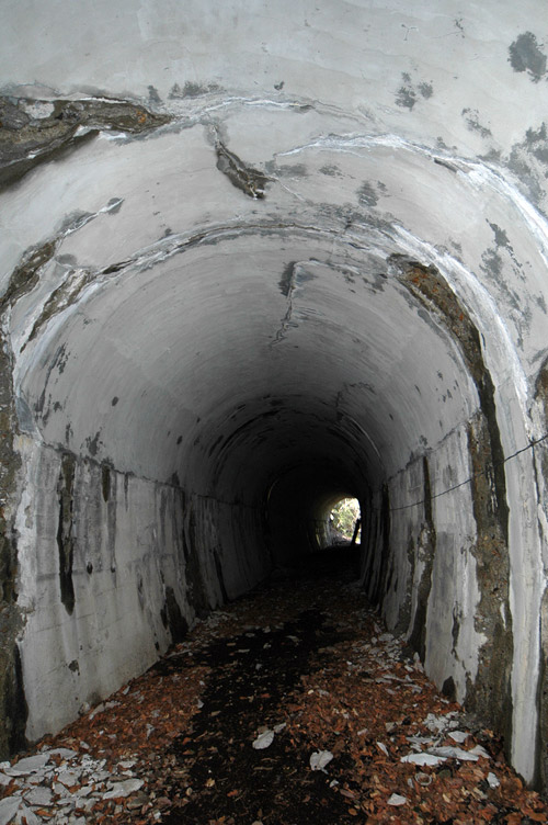 �ؑ]�X�ѓS����K��,�ѓS,�p����,詓�,�g���l��,��K�c�я�