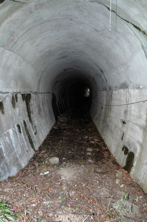 �ؑ]�쉈�ݐX�ѓS����K��,�ѓS,�p����,詓�,�c�я��O��,��1���g���l��