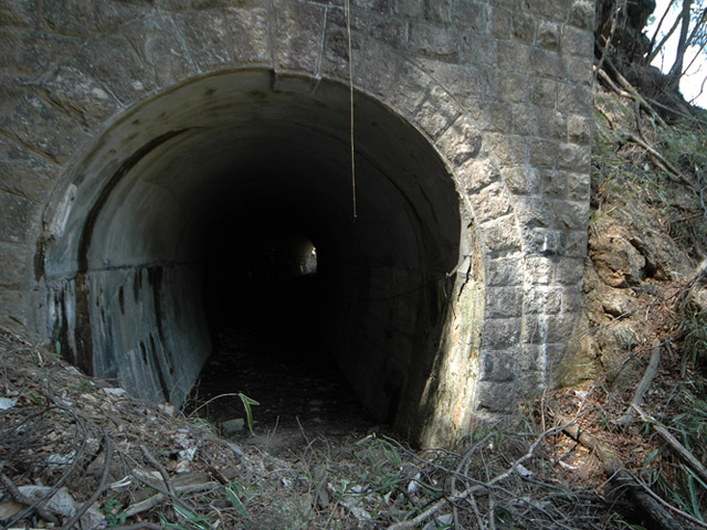 �ؑ]�쉈�ݐX�ѓS����K��,�ѓS,�p����,詓�,���,��1���g���l��