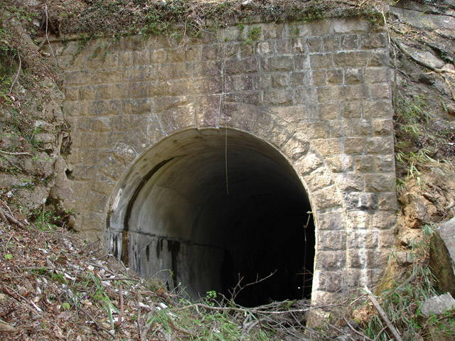 �ؑ]�쉈�ݐX�ѓS����K��,�ѓS,�p����,��1��詓�,�B��,�g���l��