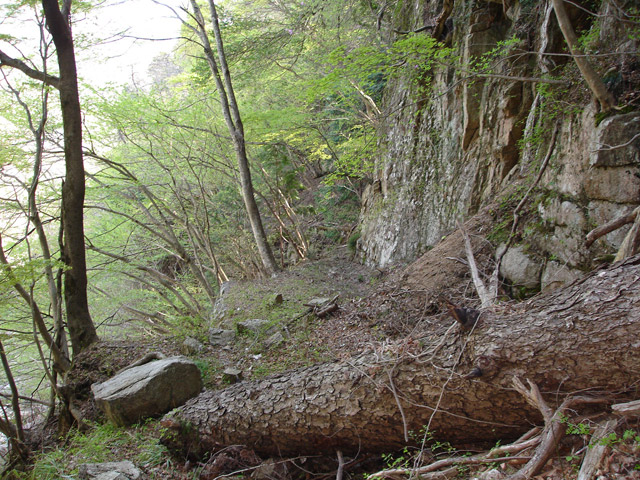 ��K�X�ѓS��,�ѓS,�p����,�c�я��O��,����,�H��