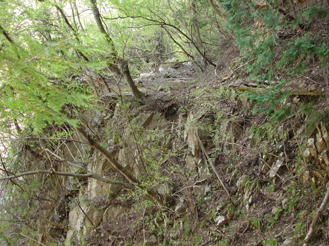 ��K�X�ѓS��,�ѓS,�p����,�i���[�O����,�H��,����