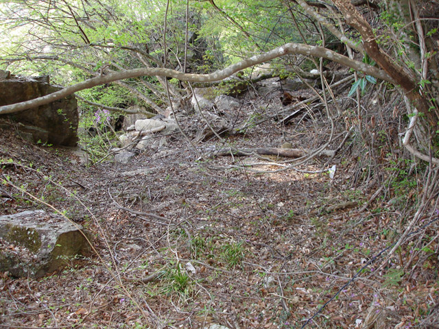 ��K�X�ѓS��,�ѓS,�p����,�g���b�R�O����,����,��K��