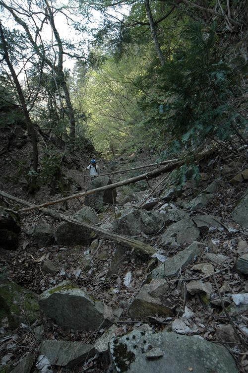 ��K�X�ѓS��,�ѓS,�p����,�g���b�R�O����,�؂�ʂ�,����