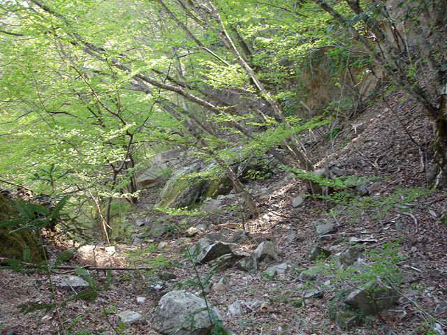 ��K�X�ѓS��,�ѓS,�p����,�c�я��O����,�H��,��K��