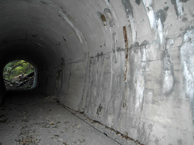 �ؑ]�X�ѓS����K��,�ѓS,�p����,���詓�,�g���l��,�ʐM��