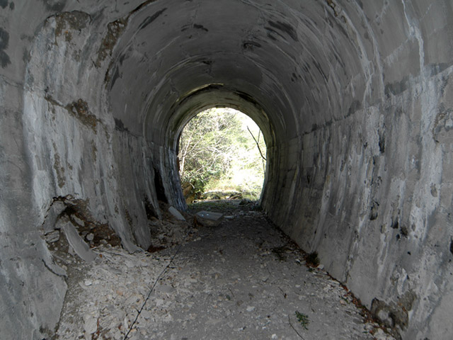 �ؑ]�쉈�ݐX�ѓS����K��,�ѓS,�p����,����j�g���l��,�g���l��詓�,�؍މ^���O����