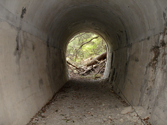 ��K�X�ѓS��,�ѓS,�p����,�g���b�R�O����,��񍆃g���l��,詓�,��K�c�я�